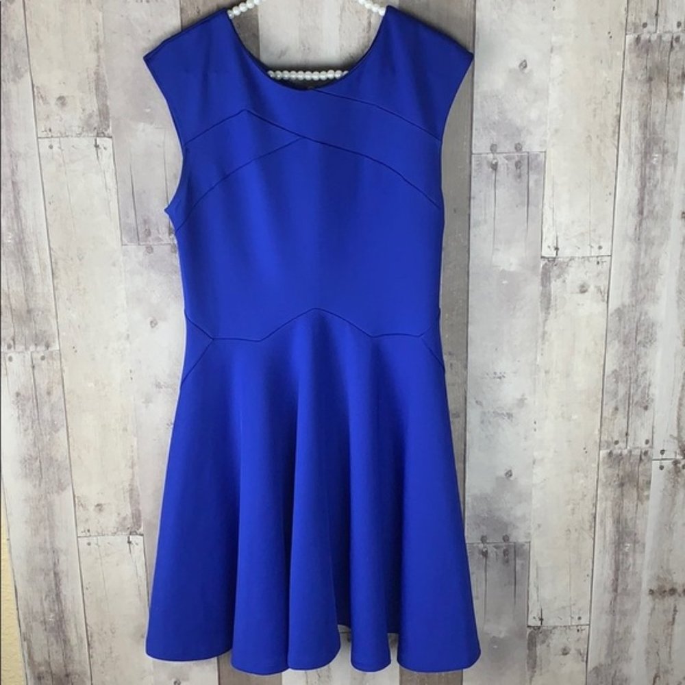 Ted Baker Arwyn Cap-Sleeve Fit-and-Flare Dress 3